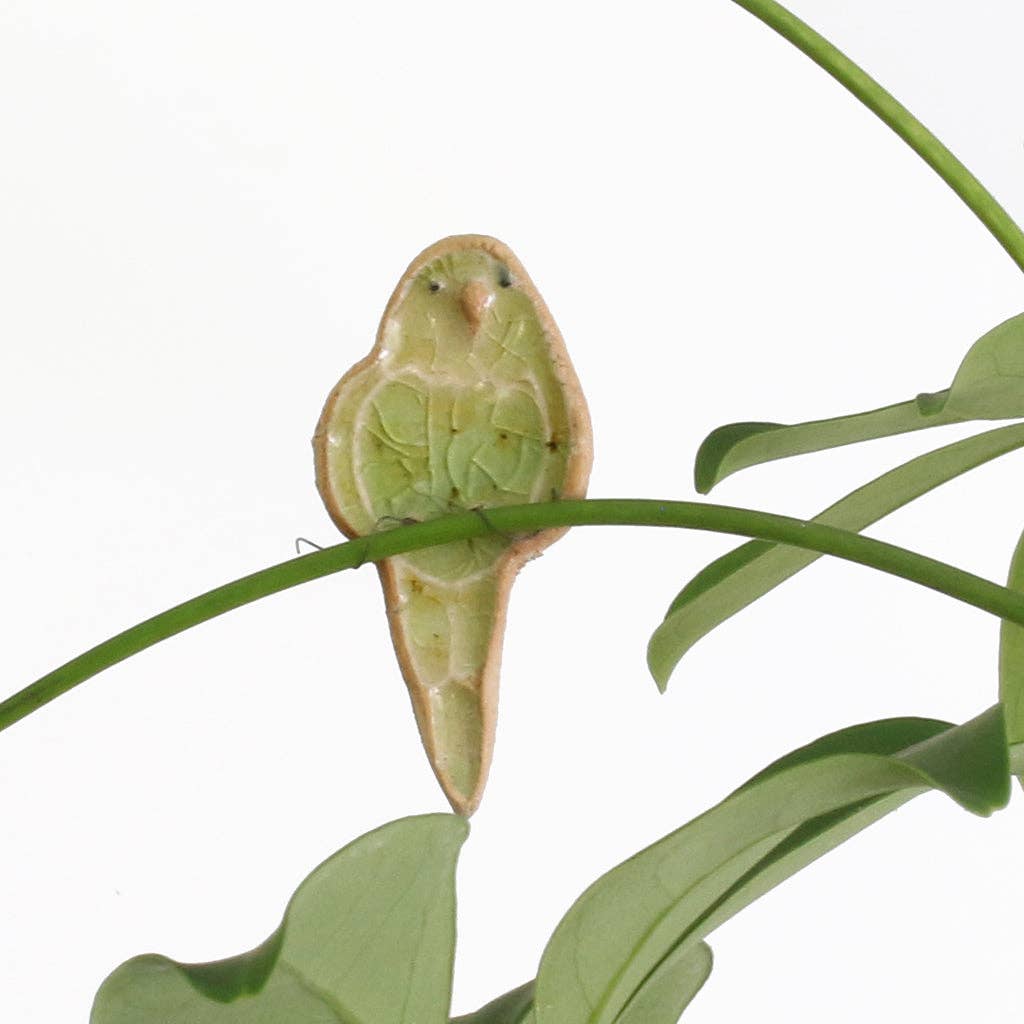 Bobby budgie plant pal decoration