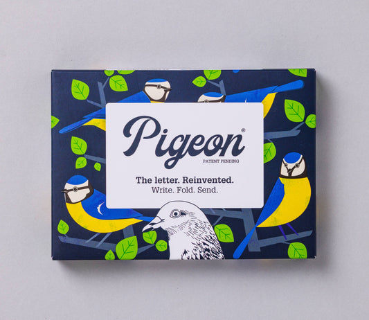 Dawn Chorus Pigeon - pack of 6 folding letters
