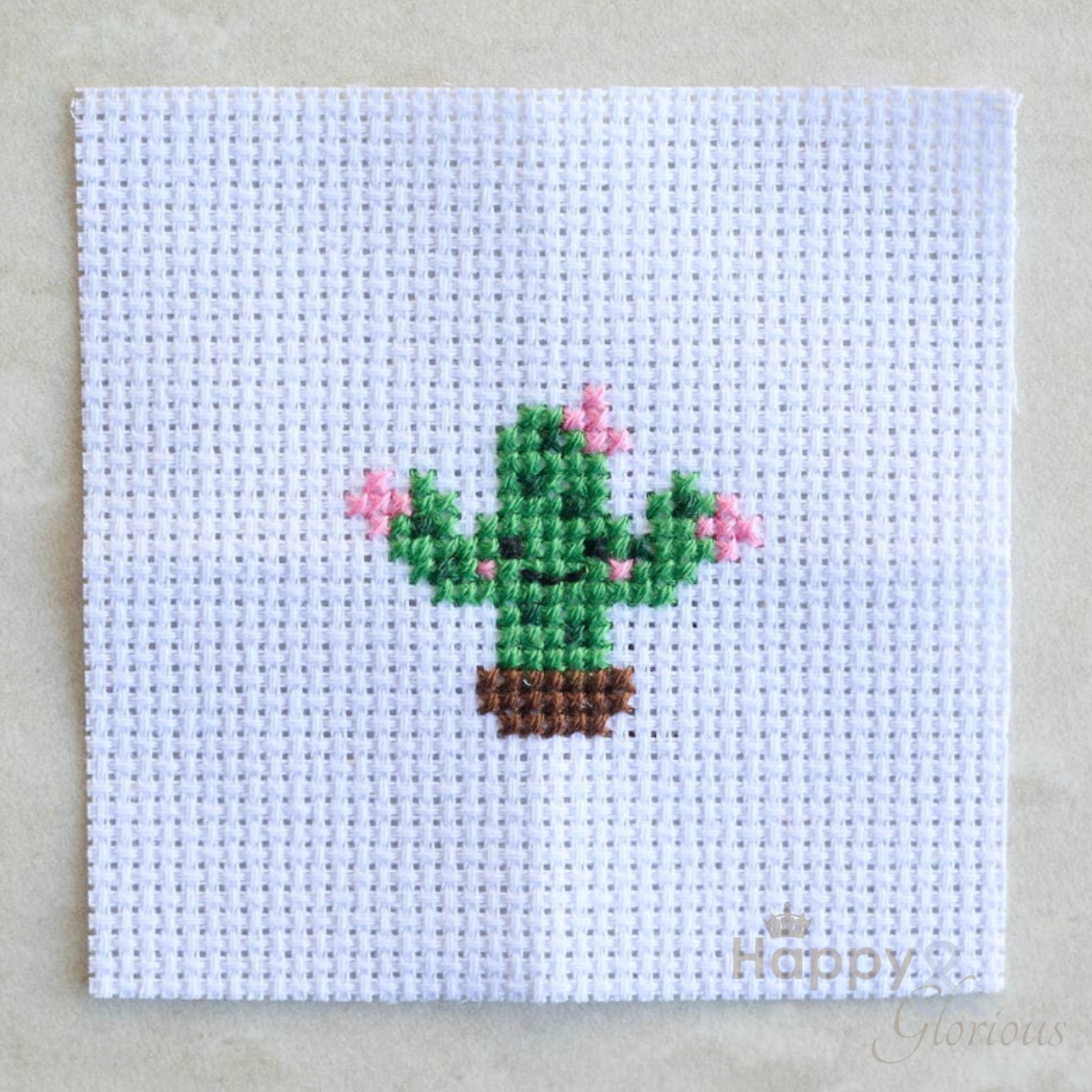 Cross stitch cactus mini craft kit