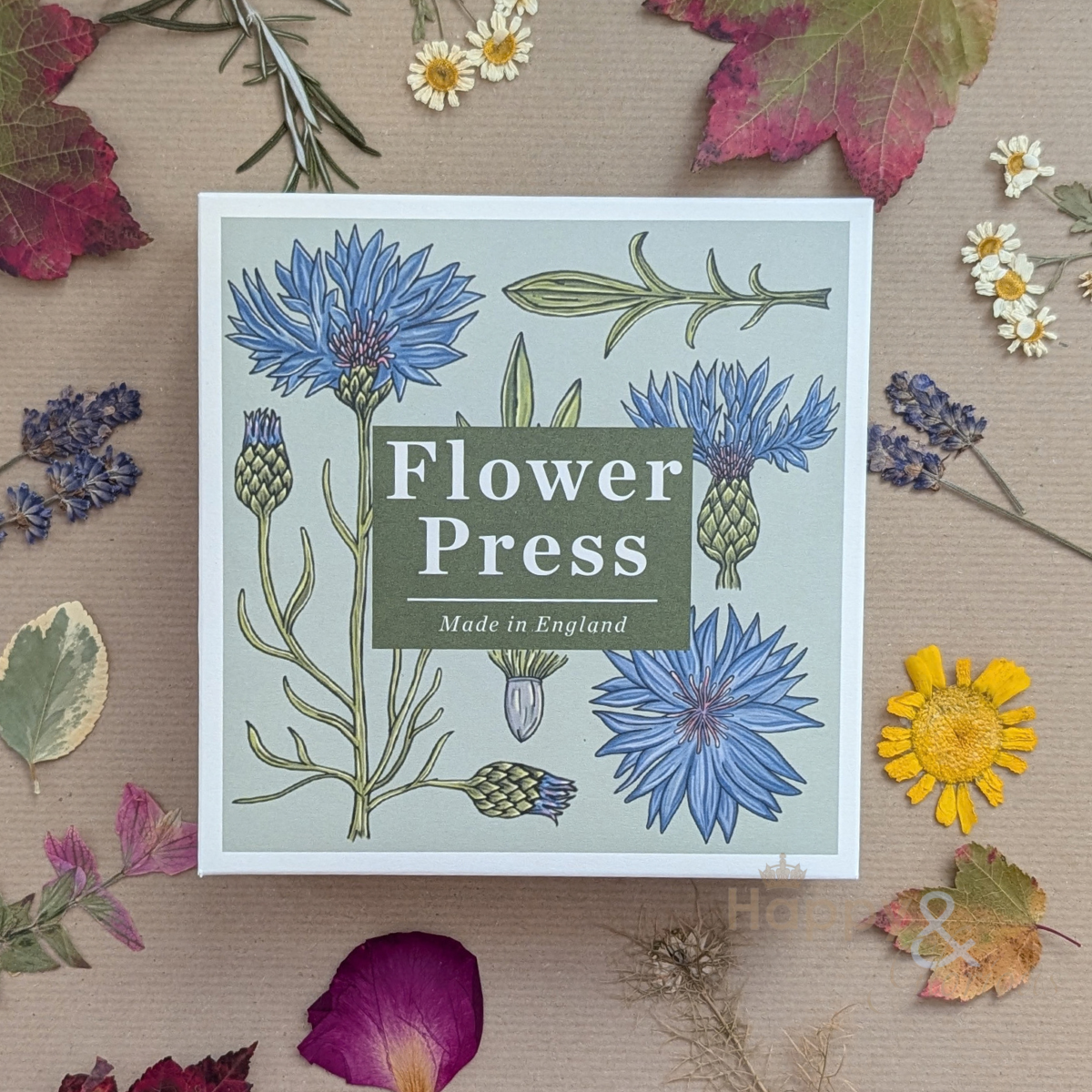 Vintage cornflower flower press
