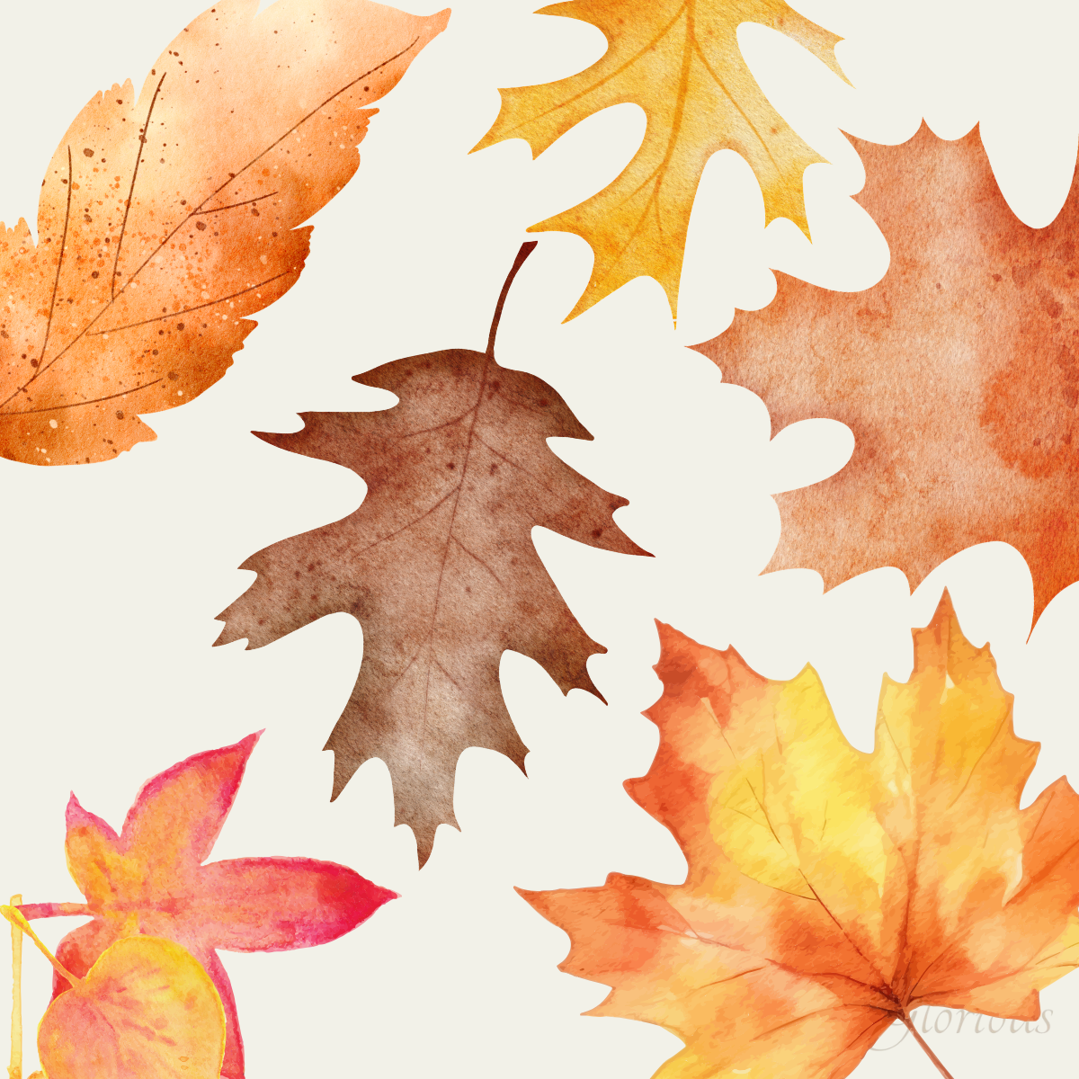 Leaf watercolour cards workshop - Wednesday 2nd September