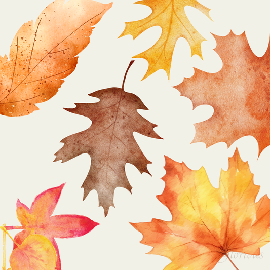 Leaf watercolour cards workshop - Wednesday 2nd September
