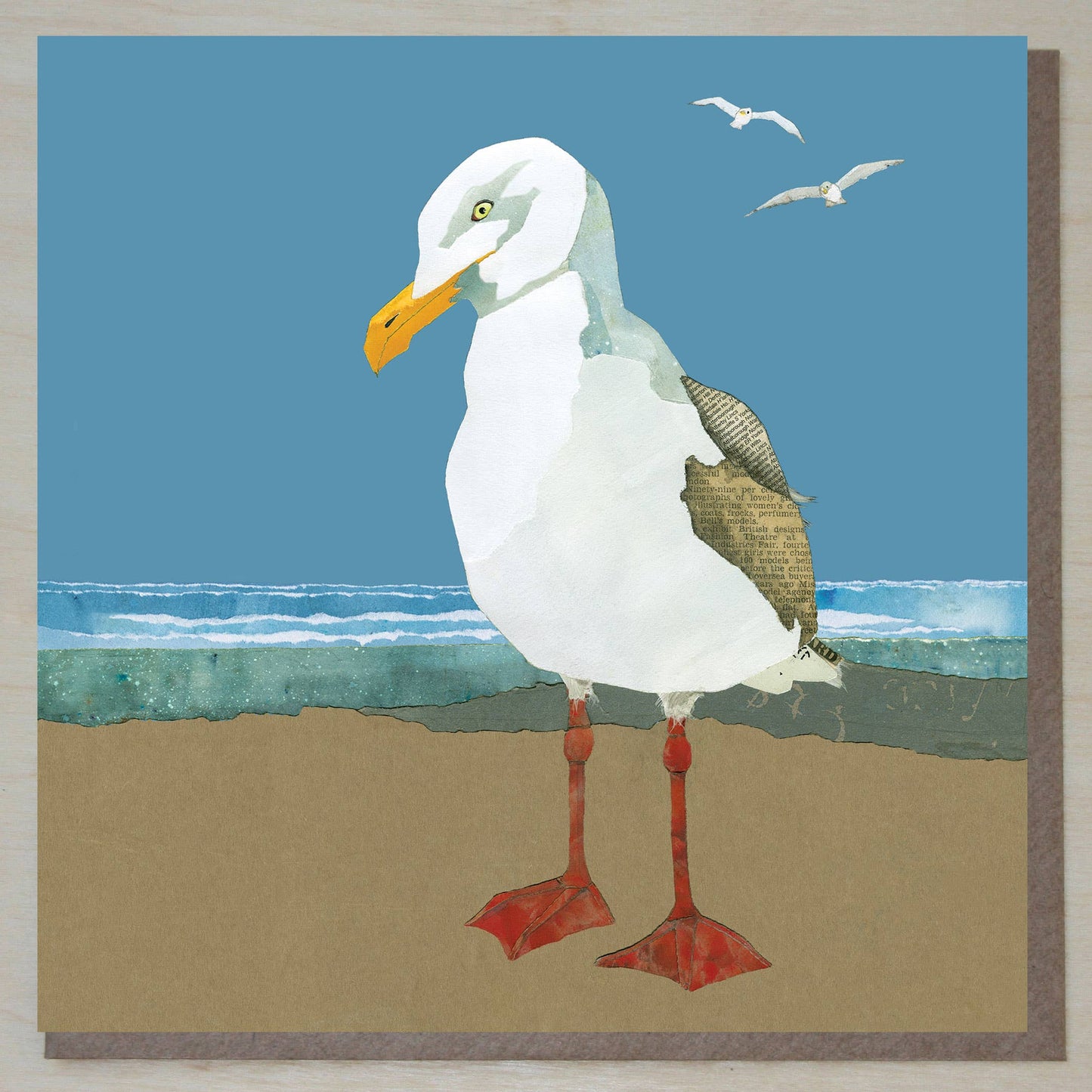 Herring gull card