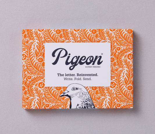Nature Study Pigeon - pack of 6 folding letters