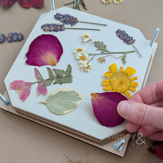 Vintage corn poppy flower press