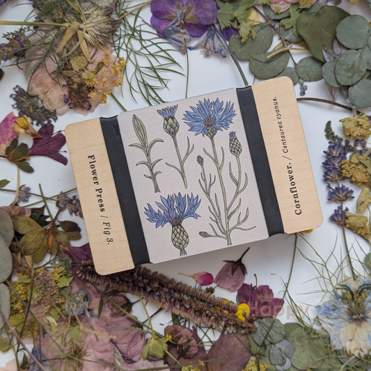 Vintage cornflower pocket flower press