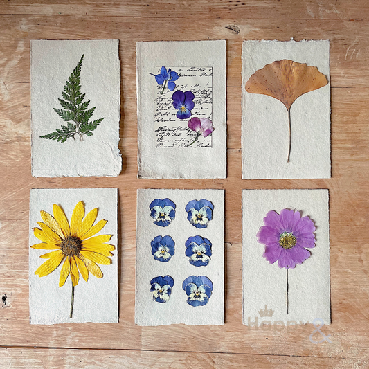 Pressed flower cards workshop - Monday 16th June