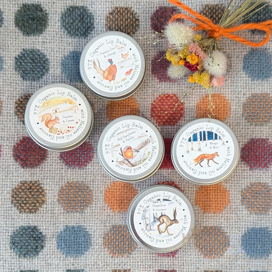 Autumn/Winter shea butter lip balm