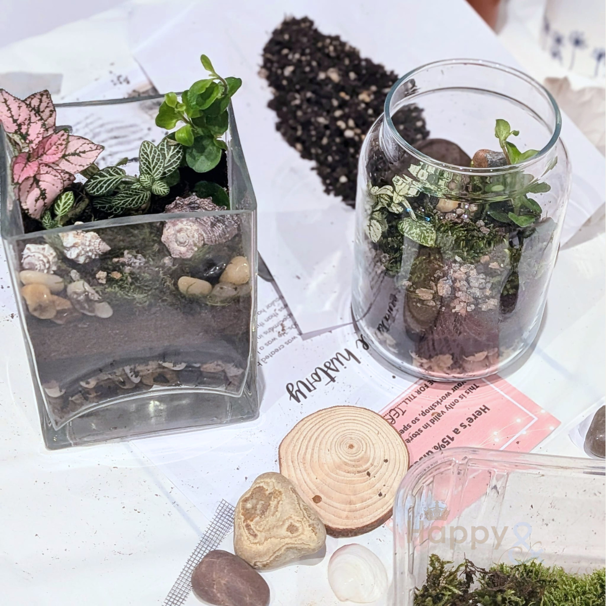 Terrarium workshop - Sunday 6th September