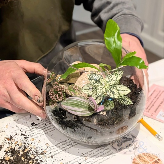 Terrarium workshop - Sunday 19th July