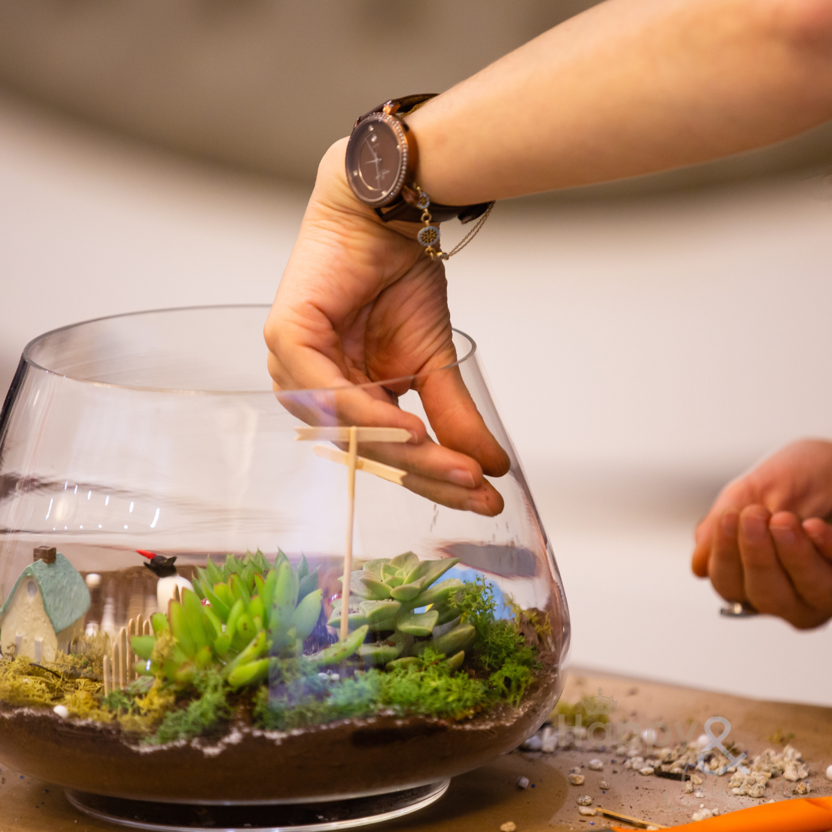 Terrarium workshop - Sunday 1st March