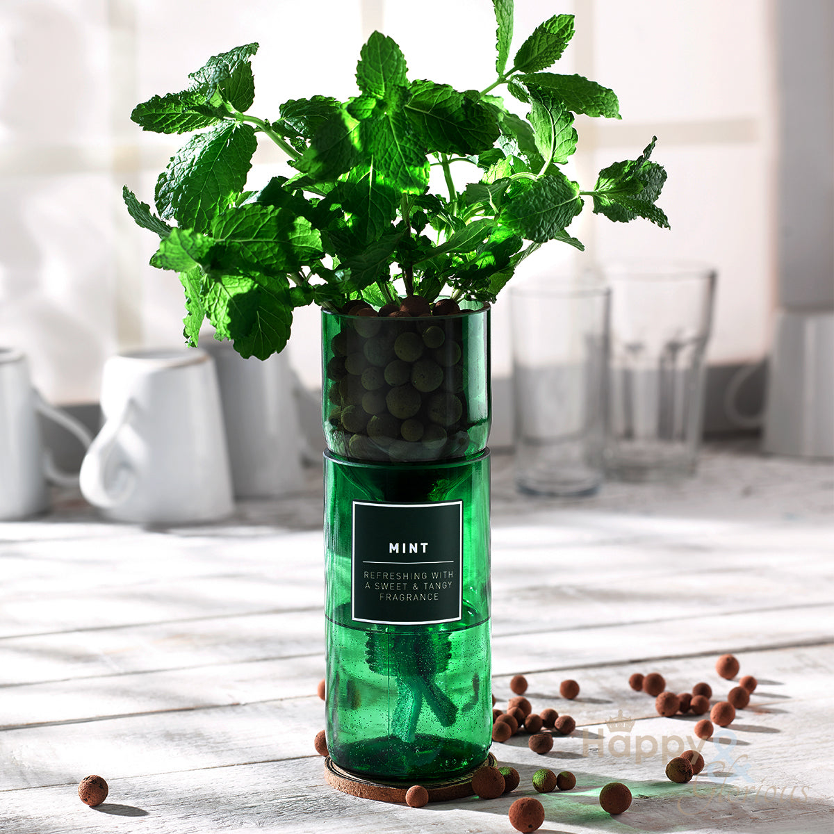 Mint hydroponic organic herb growing kit