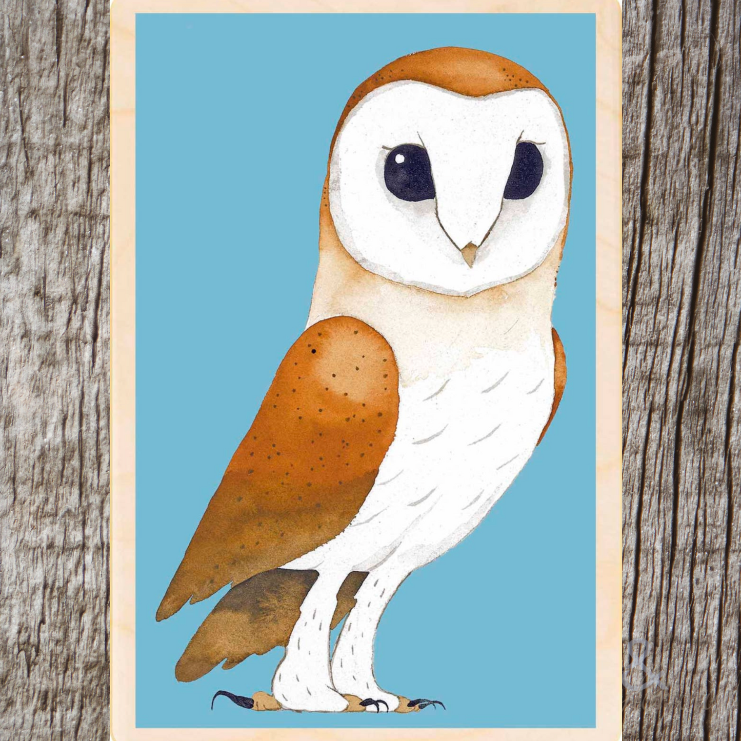 Wooden bird postcard by Matt Sewell