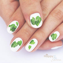 Monstera leaf nail art transfers - pack of 24