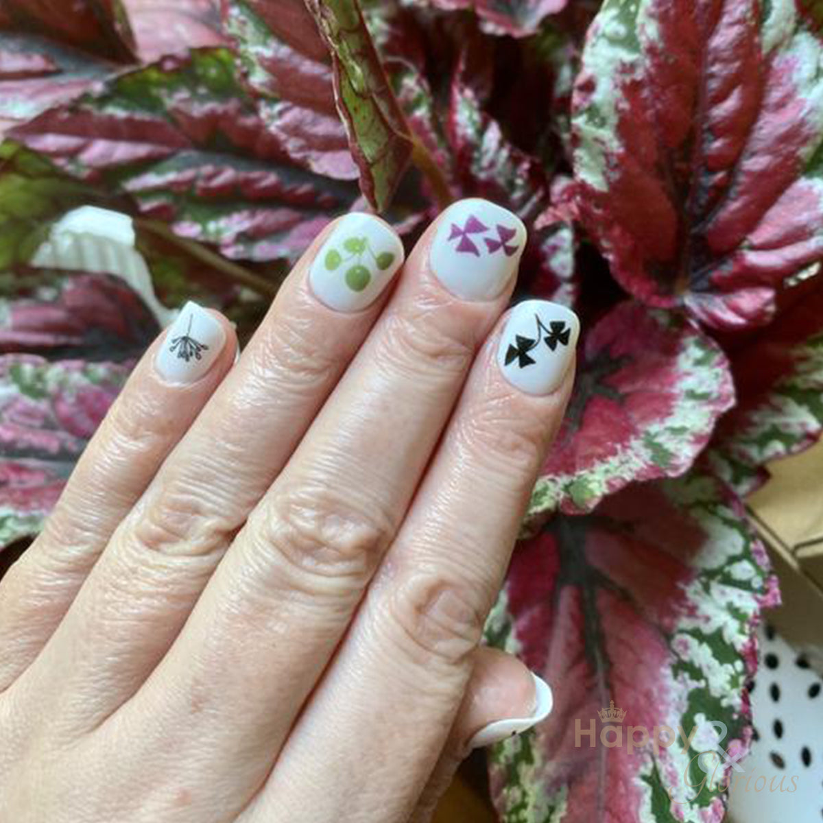 Houseplant nail art transfers - pack of 24