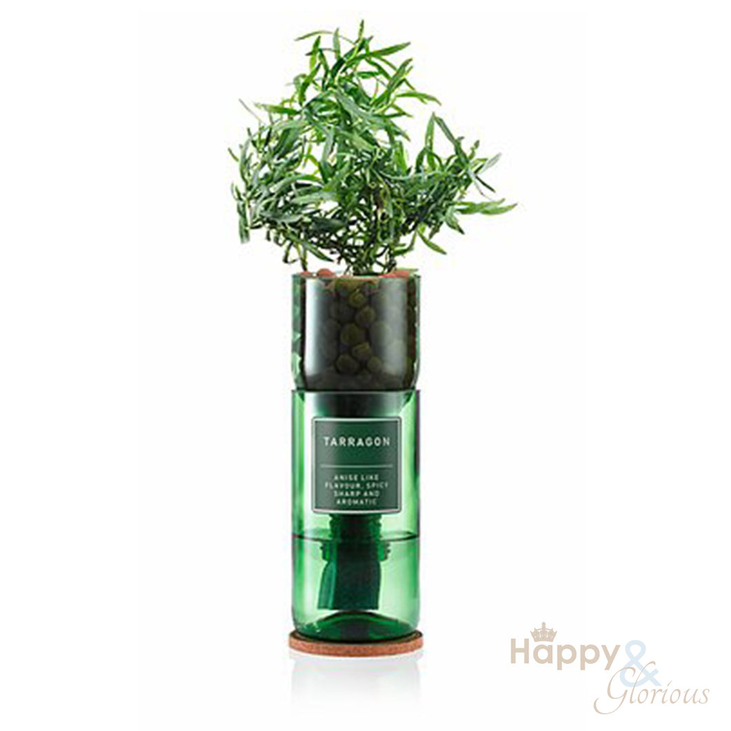 Tarragon hydroponic organic herb growing kit