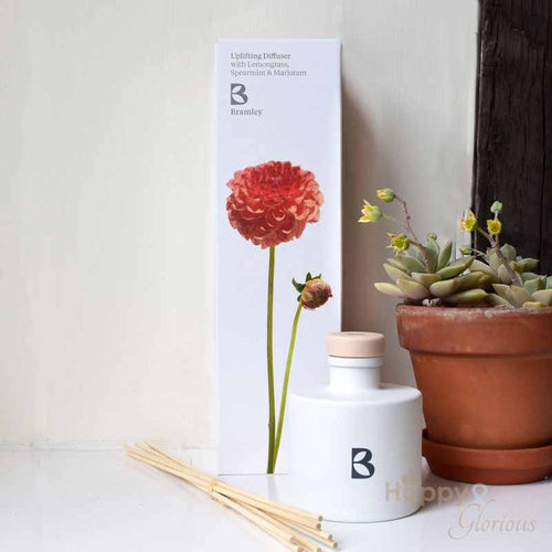 Uplifting fragrance diffuser with Lemongrass, Spearmint & Marjoram by Bramley Products