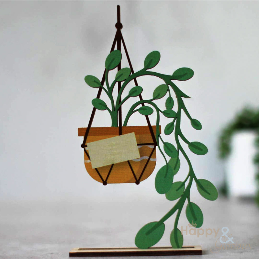 Wooden string of pearls plant